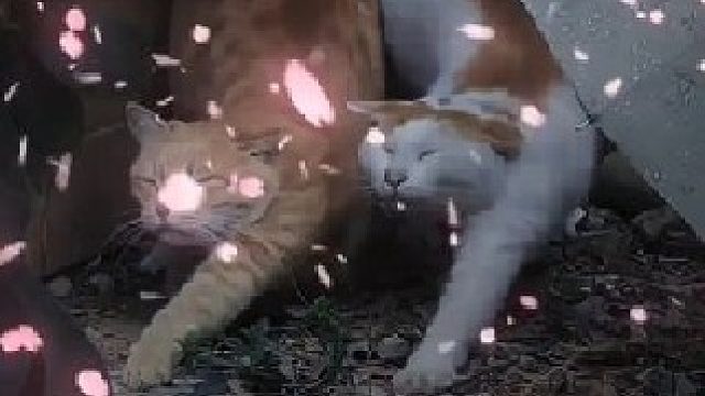 不要犹豫 立刻艾特嘎嘎重要的人来看