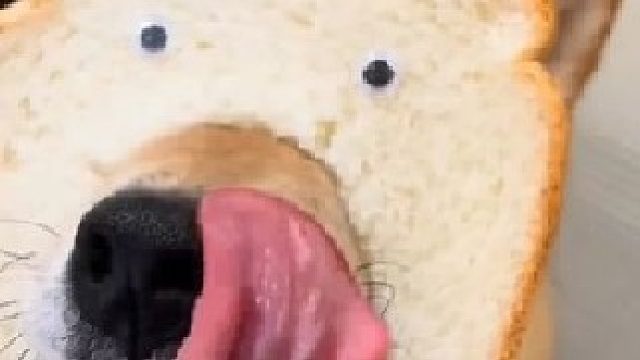 艾特出最像它的人