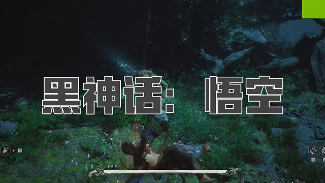 黑神话：悟空！第五十八回! 小黄龙！啊！又是龙！