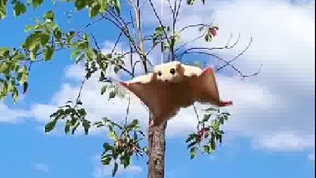 不怕新歌潮，就怕老歌带dj