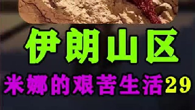米娜新房的最后建造过程