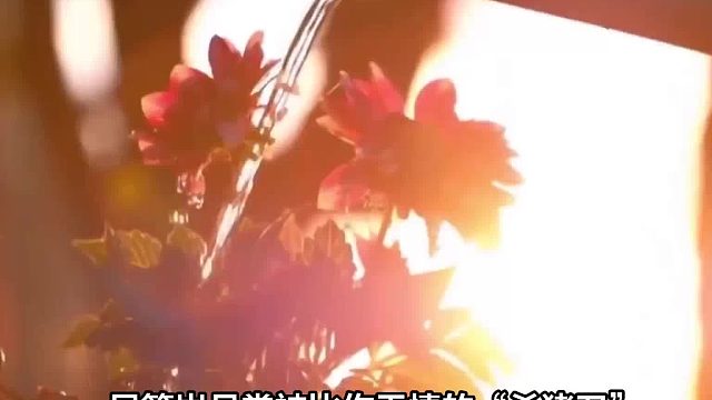 常见的日常“催老”食物，一定要少吃！