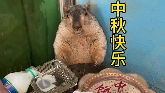 中秋节快乐！吃月饼咯