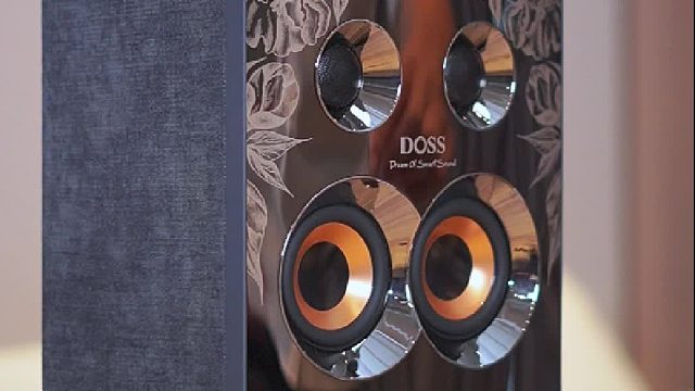 中国风古典轻奢DOSS乐宴 下一代全景声音响