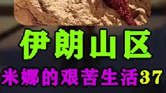 屋顶进行水泥处理