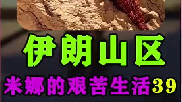 米娜对新房屋顶做了防水处理