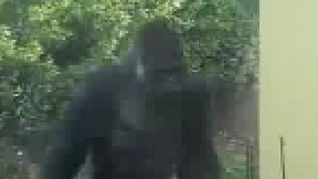 我要跟第三个单挑