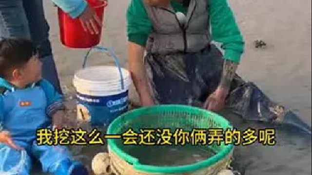 户外赶海抓海鲜