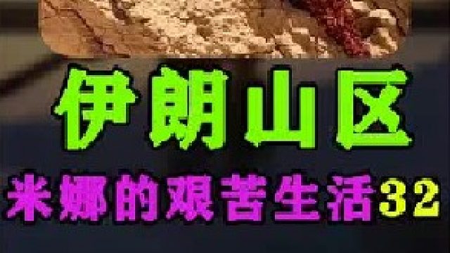 米娜给新房的门窗安装好了玻璃  (2)