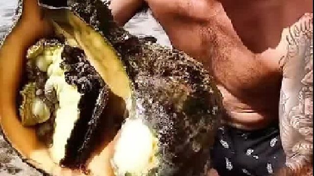 这是龙宫里的海螺精麽？