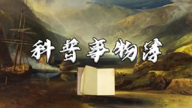 大象的肉量这么多，是猪和牛的几十倍，我们为啥不养大象吃？ 1