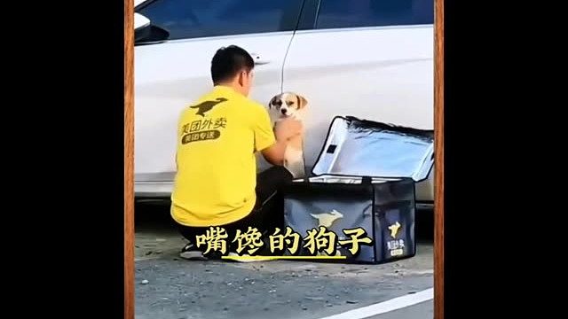 狗子：感谢大自然的馈赠