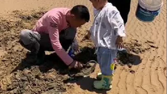 赶海赶海赶海啦