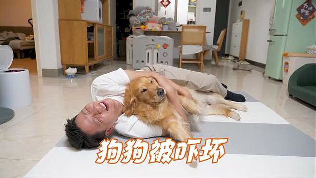 小伙子喝喜酒喝大了，回家发酒疯吓坏狗狗！