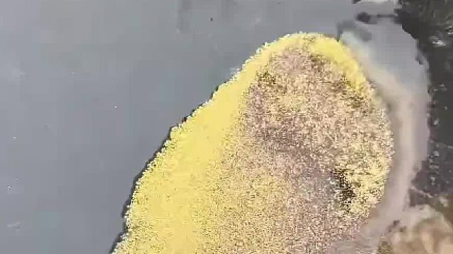 河里金色的沙子是什么东西