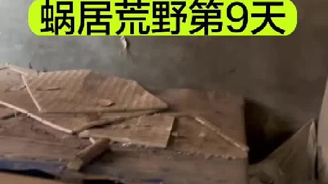 蜗居荒野的第9天我做了柚子蜜罐