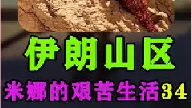 米娜的新屋进行地面处理和安装门  (2)