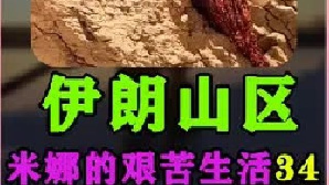 米娜的新屋进行地面处理和安装门  (3)