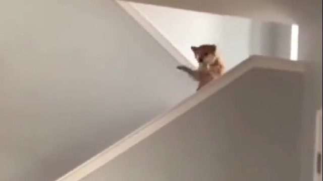 艾特你不太聪明的朋友来看