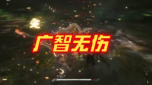 【黑神话：悟空】广智无伤