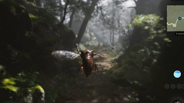 体验完整版黑神话悟空喜得定身法，首打BOSS广智！体验狼妖变身！