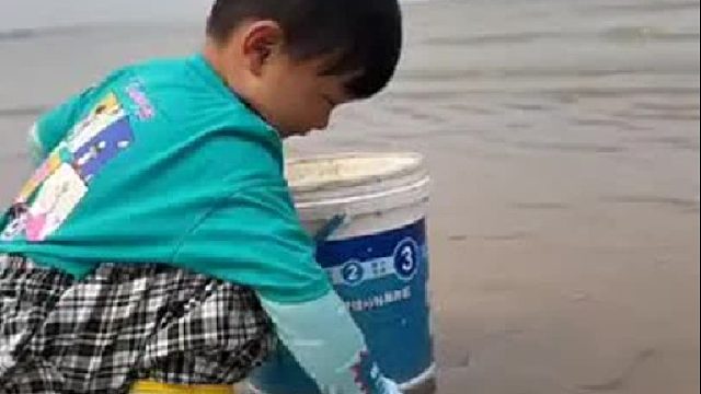 赶海赶海赶海啦