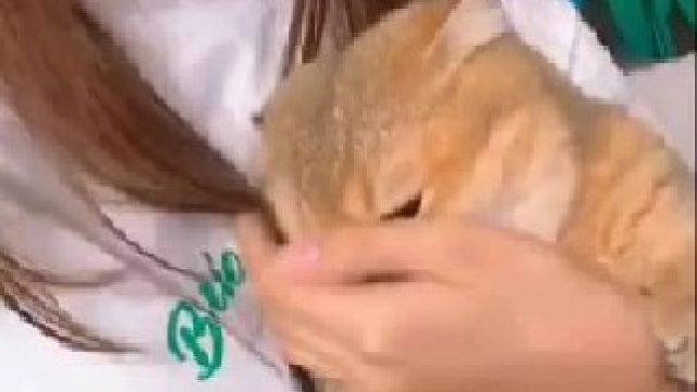 艾特世界上最可爱的女孩子来看