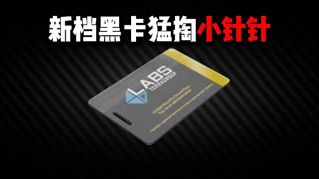 新档黑卡猛掏小针针 逃离塔科夫