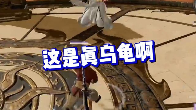 【克烈】这是真乌龟啊