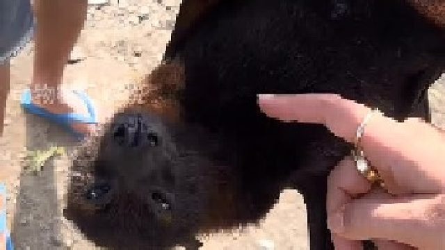 男子的行为会不会有危险