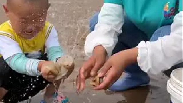 户外赶海抓海鲜
