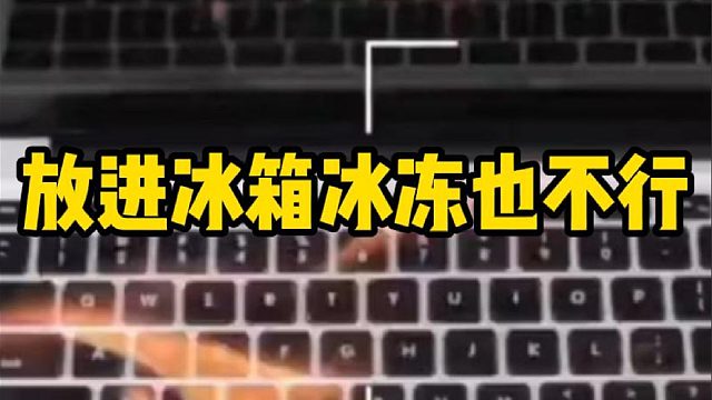 放进冰箱冰冻也不行