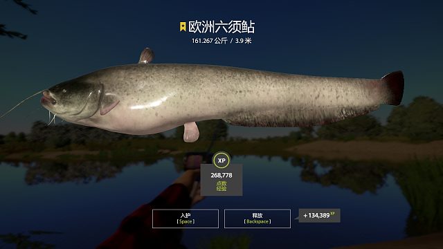 最大的乐趣还是拉猪