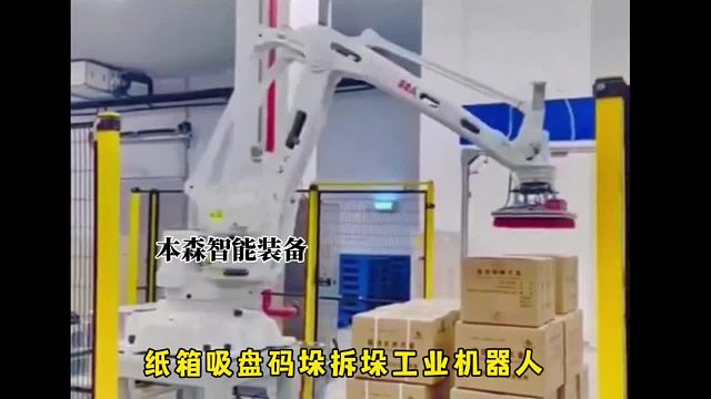 纸箱吸盘码垛拆垛工业机器人
