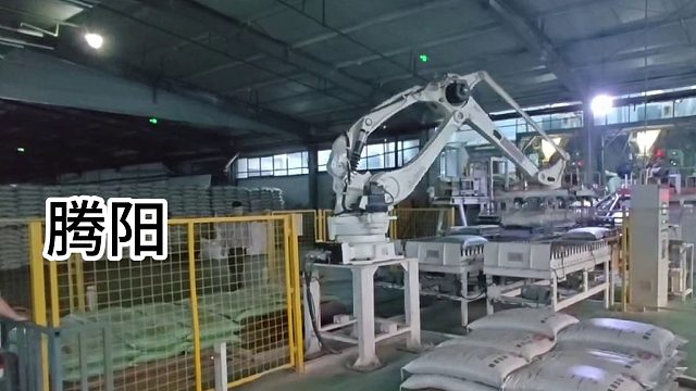 腾阳码垛机，省时又省力，您真的不心动吗？