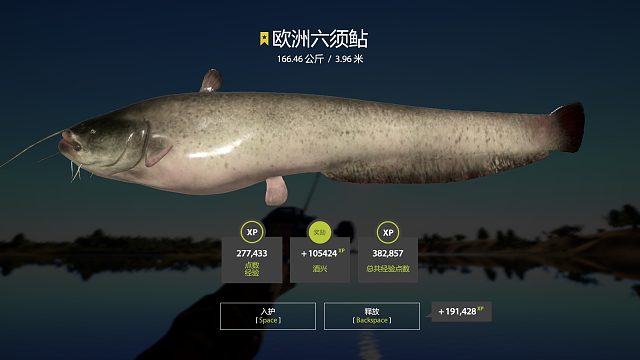 超级摇头猪，痛苦并快乐着。