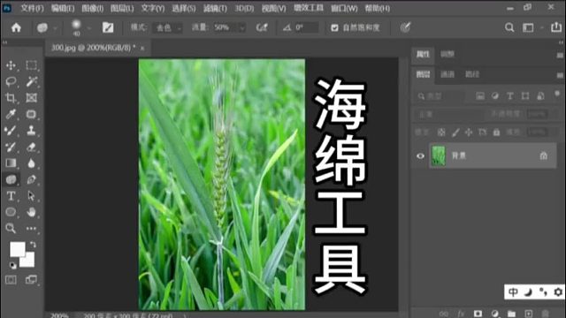 PS海绵工具PS海绵工具怎么用PS饱和度调整PSPS入门基础教学小白课