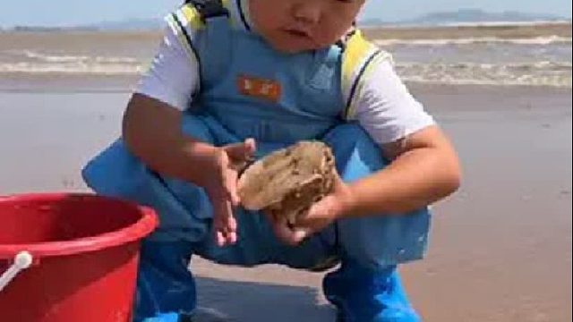 赶海赶海赶海啦