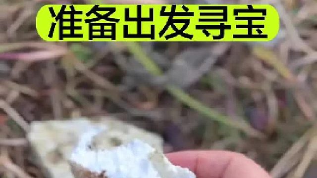 准备出发寻宝了