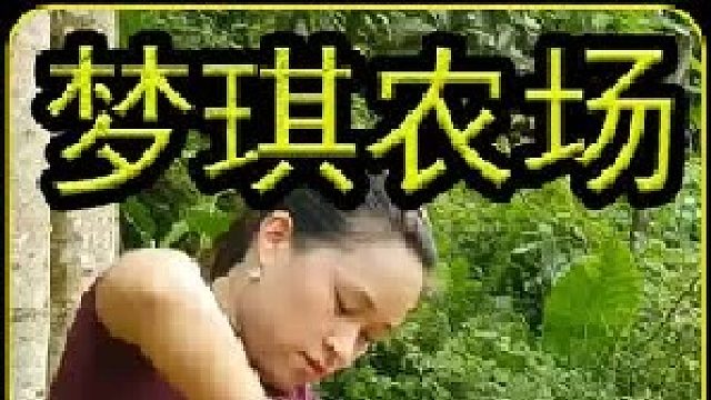 让您沉浸式体验梦琪田园生活  (2)