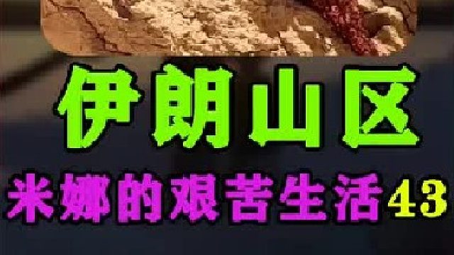 米娜给家里买了小鸡养殖  (2)