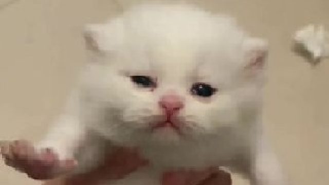 艾特世界上最可爱的女孩子来看叭