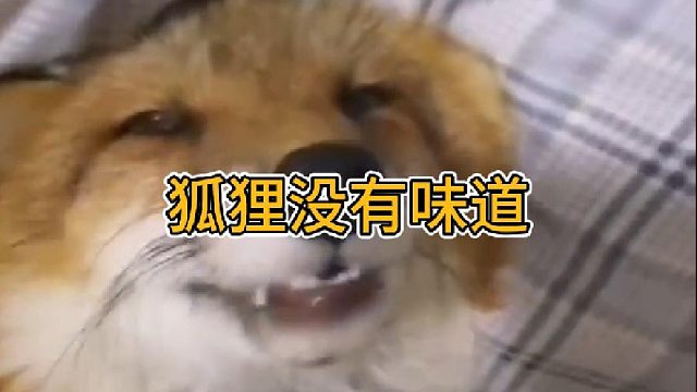 干嘛老问星期一臭不臭呀，人家可是女孩子