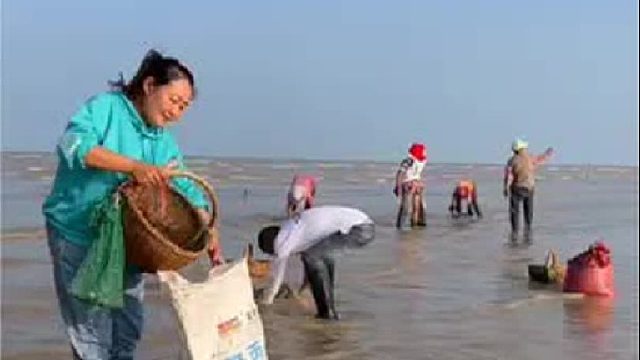 户外赶海抓海鲜
