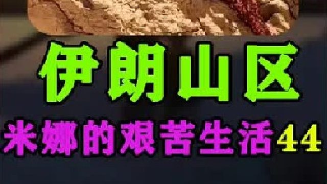 米娜为小鸡建造了新的鸡舍  (1)