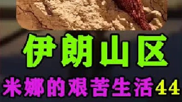 米娜为小鸡建造了新的鸡舍  (2)