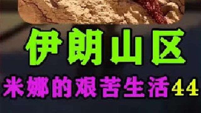 米娜为小鸡建造了新的鸡舍  (3)