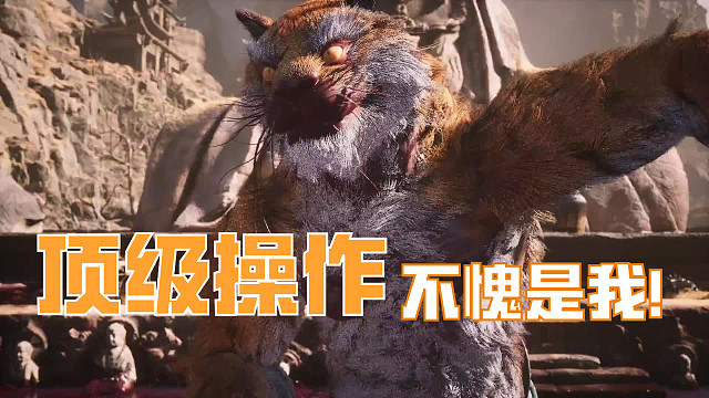 虎先锋就这？？？我送死流加抗打流也就打了几十次