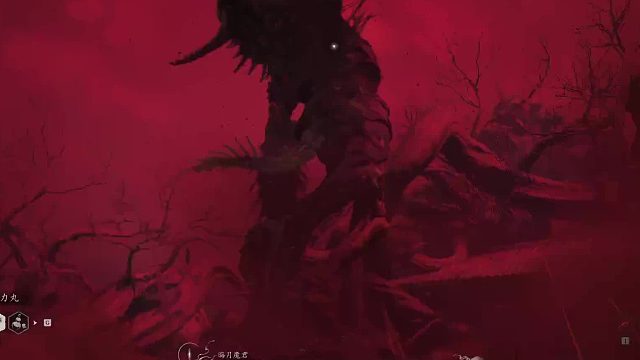 欢迎来到拈花含笑的直播间-片段4