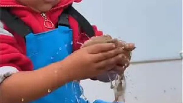 户外赶海抓海鲜